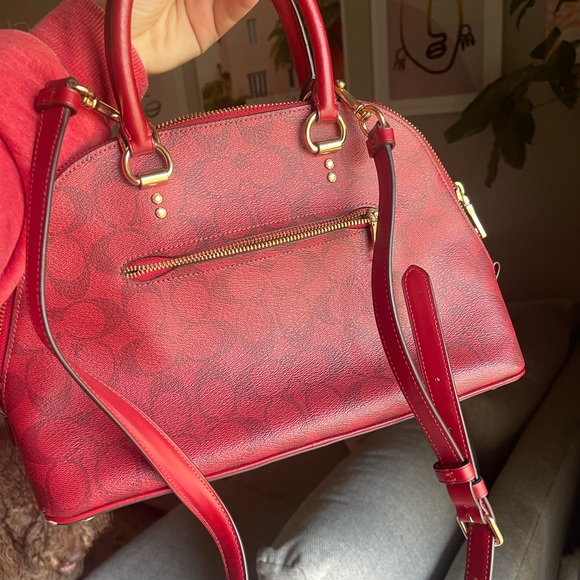 Gently used only 1 time - Picture 2 of 5